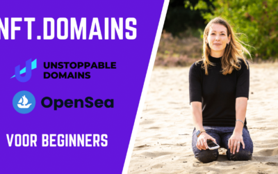 Hoe werkt Unstoppable Domains?