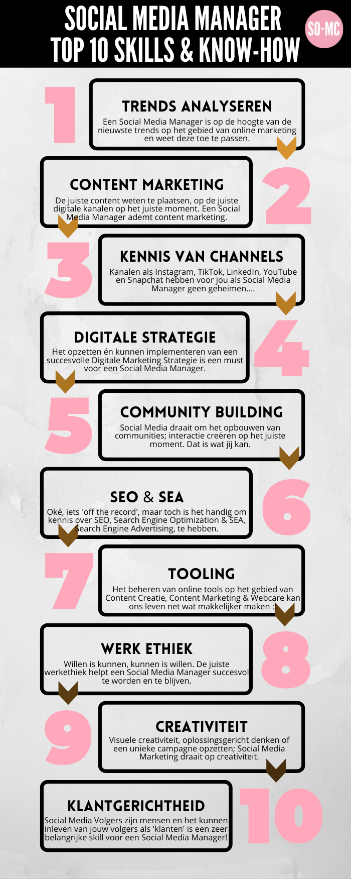 Social Media Manager Skills Infographic