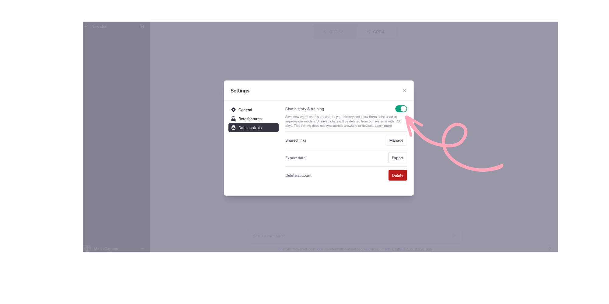 ChatGPT data controls
